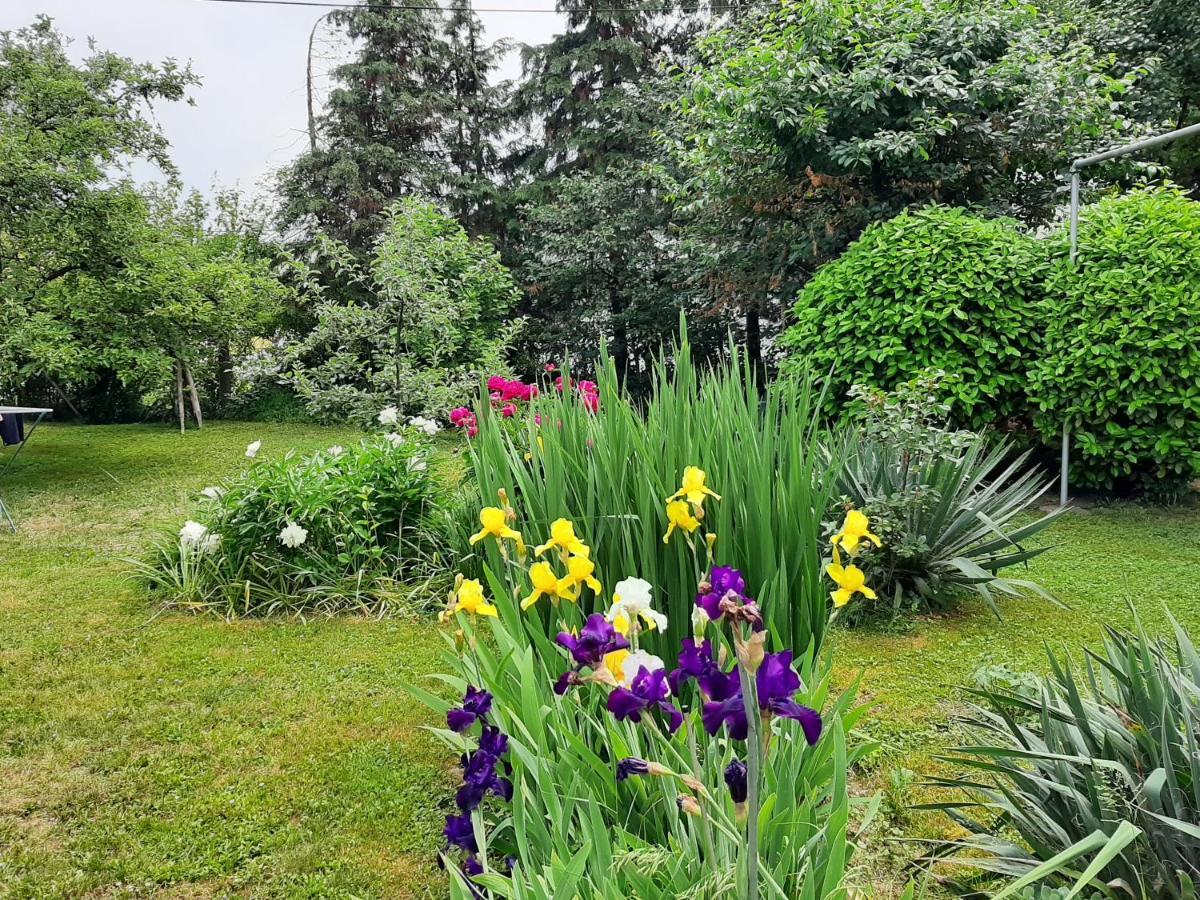 Magnolija Apartman Banja Luka Kültér fotó