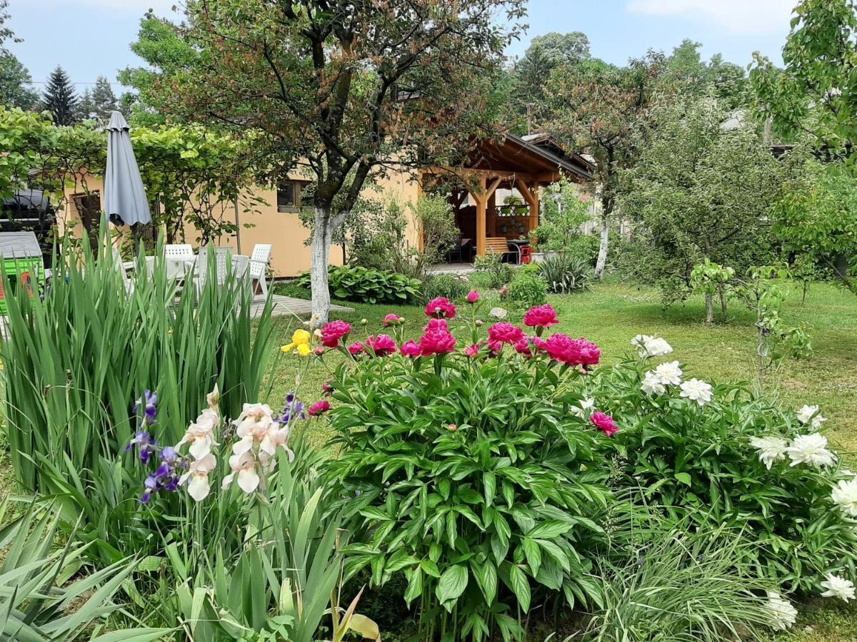 Magnolija Apartman Banja Luka Kültér fotó